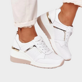 Estelle — Platform City Trainers